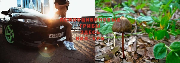 прущие крисы Абдулино
