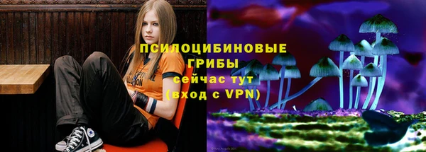прущие крисы Абдулино